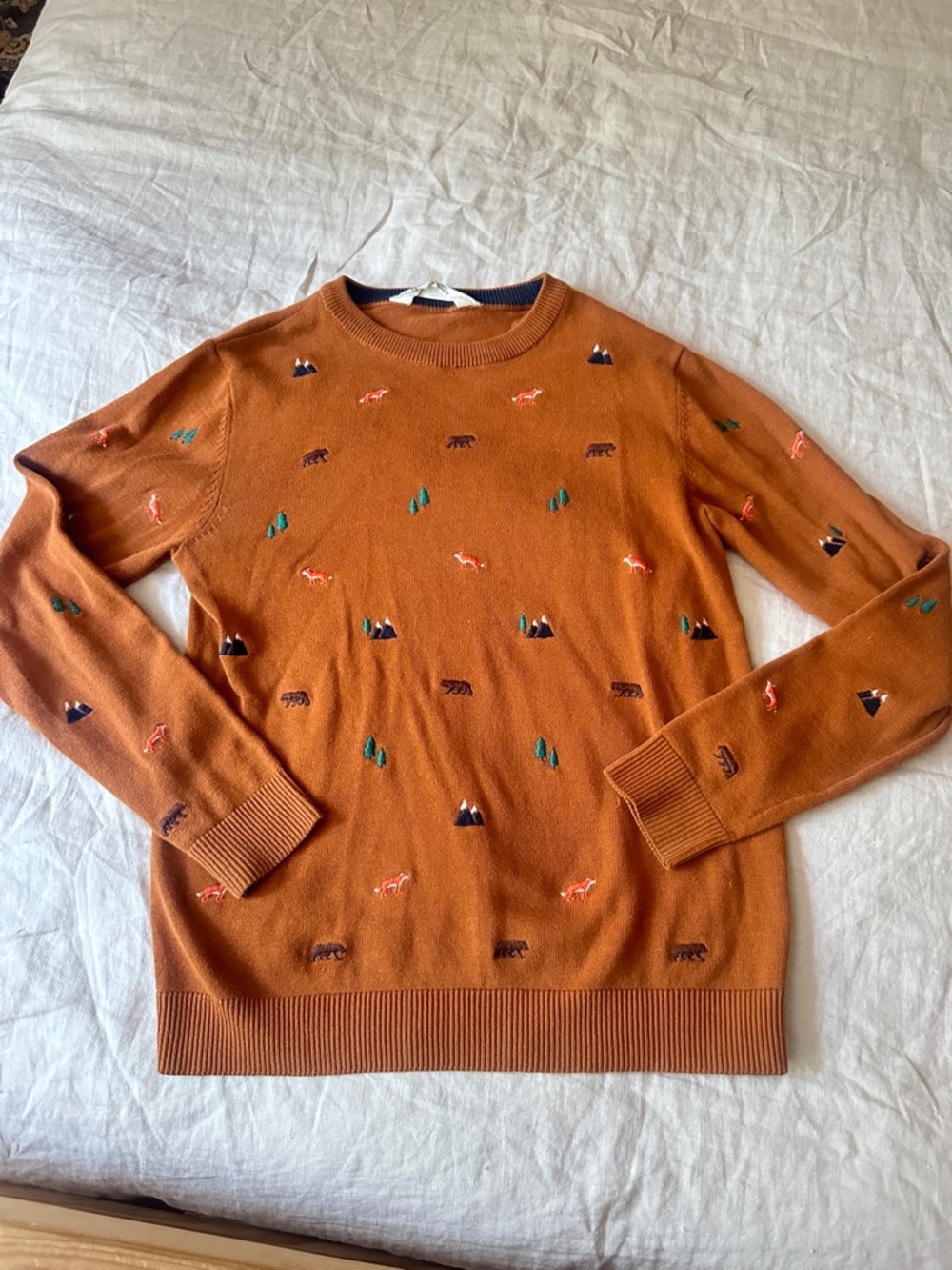 H&M Rust Orange Embroidered Crewneck Sweater Size 8/10